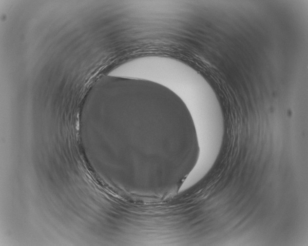 X0000053140556200508012246