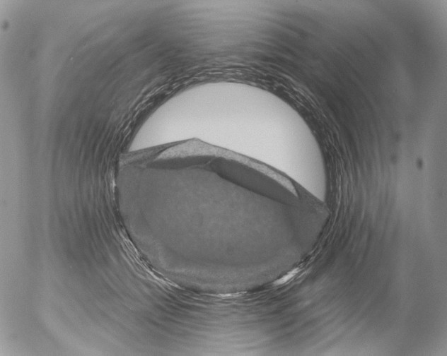 X0000053140558200508012246