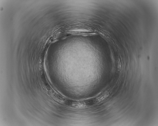 X0000053140559200508012246