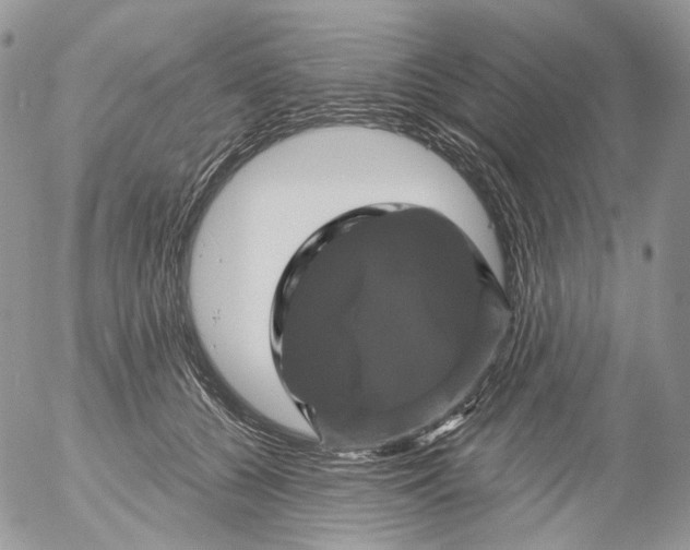 X0000053140560200508012246