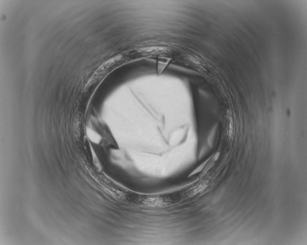 X0000053140562200508012246