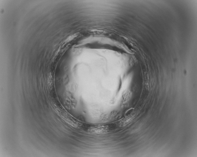 X0000053140563200508012246