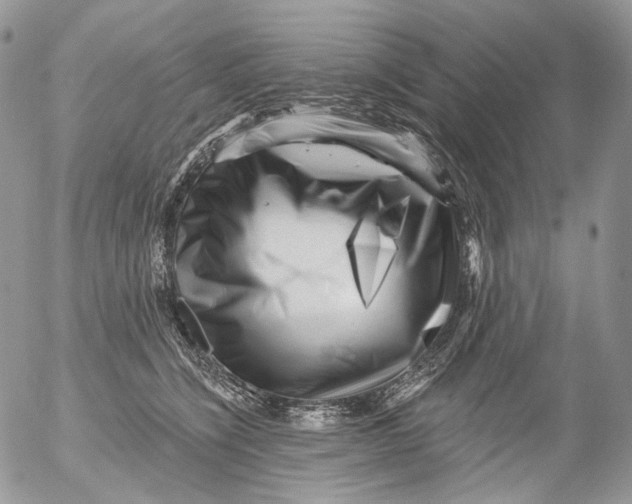 X0000053140564200508012246