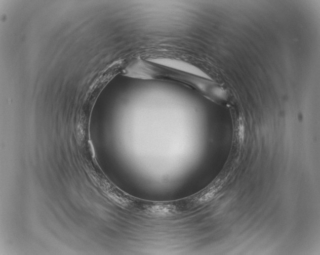 X0000053140566200508012246