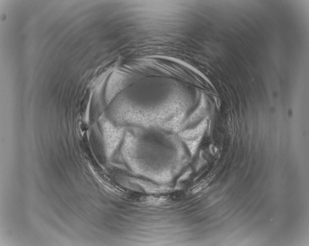 X0000053140570200508012247