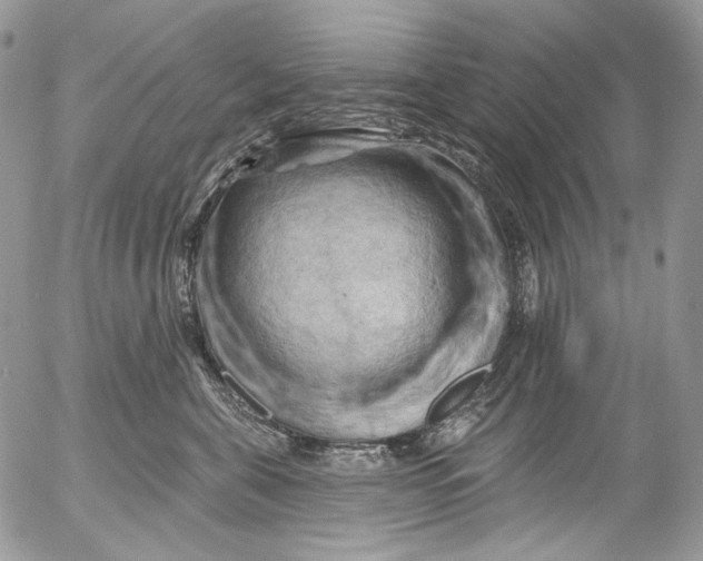 X0000053140571200508012247