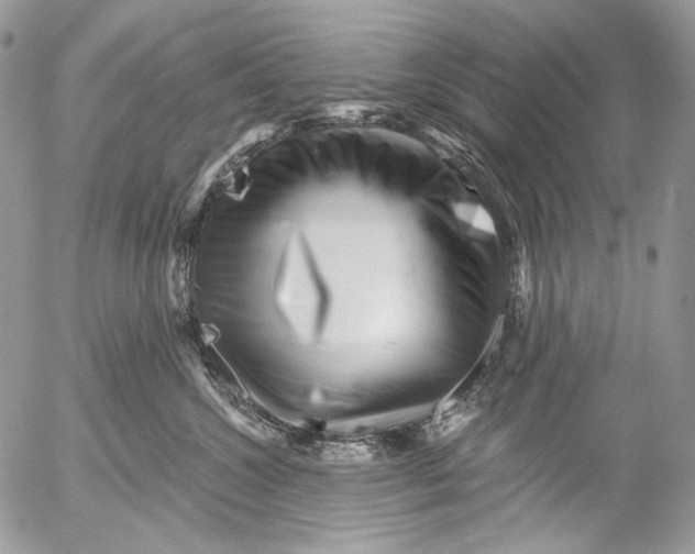 X0000053140572200508012247