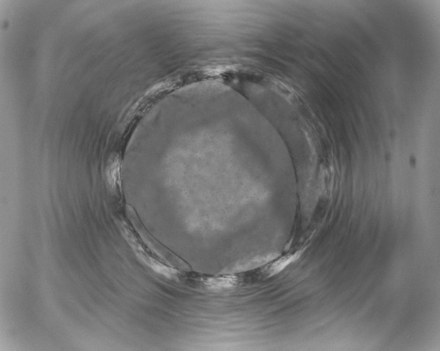 X0000053140574200508012247