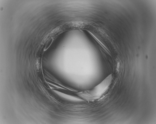 X0000053140597200508012245