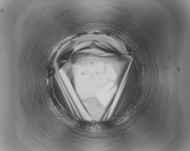 X0000053140600200508012245