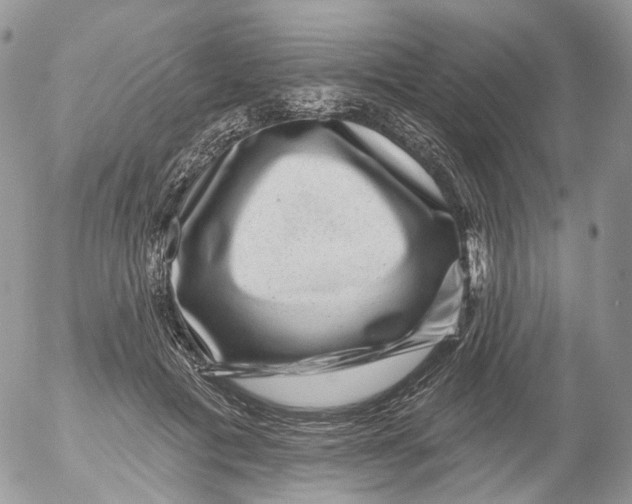 X0000053140601200508012245