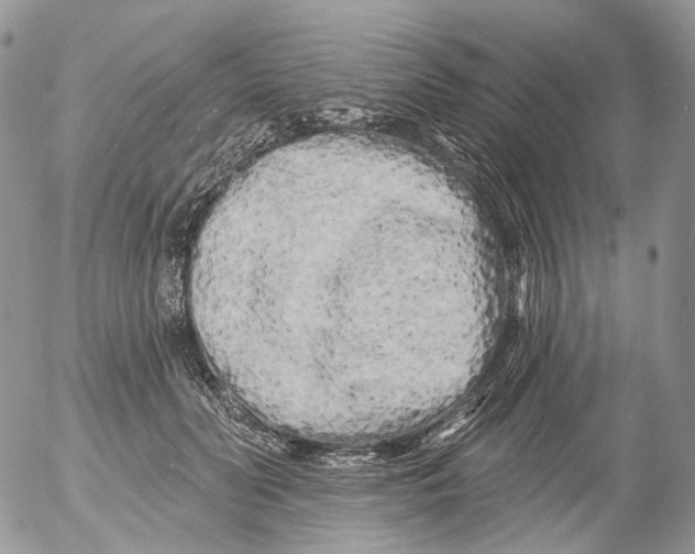 X0000053140606200508012245