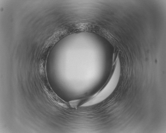 X0000053140611200508012245