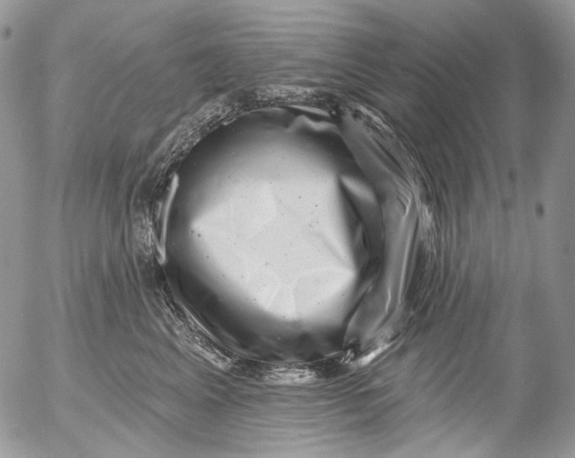 X0000053140617200508012245