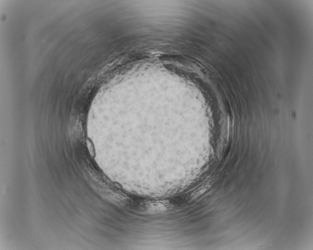 X0000053140618200508012245