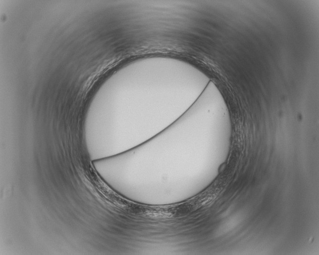 X0000053140644200508012245
