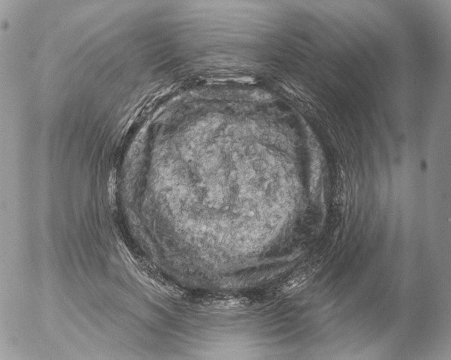 X0000053140646200508012245