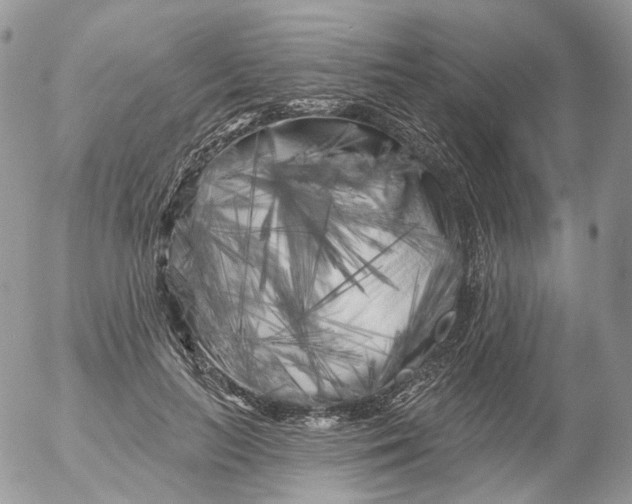 X0000053140647200508012245