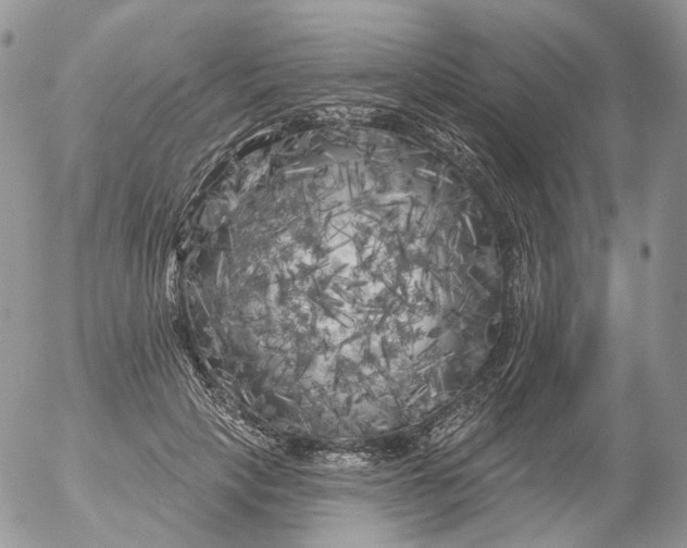 X0000053140649200508012245