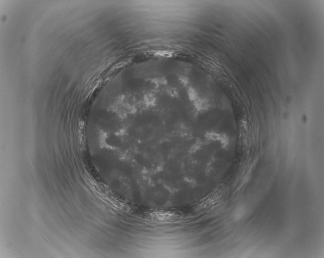 X0000053140650200508012245