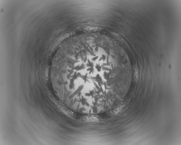 X0000053140668200508012245