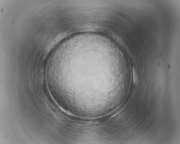 X0000053140675200508012244