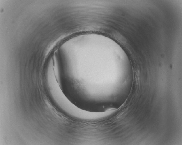 X0000053140676200508012244