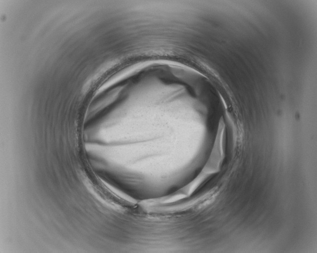 X0000053140677200508012244