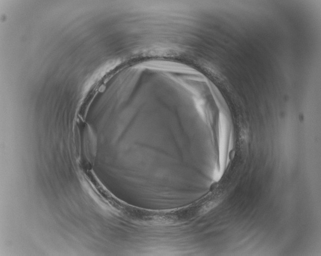 X0000053140678200508012244