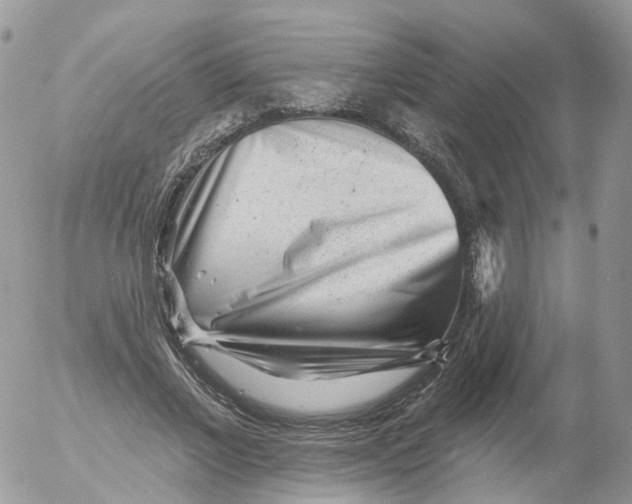 X0000053140685200508012244