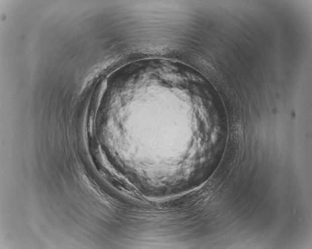 X0000053140688200508012244