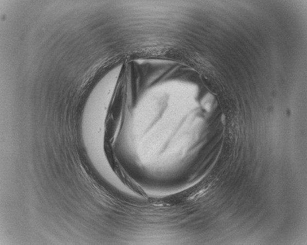 X0000053140693200508012244