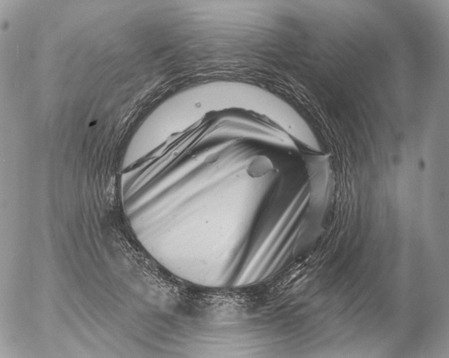 X0000053140697200508012244