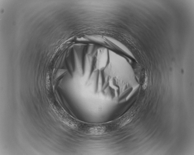 X0000053140700200508012244