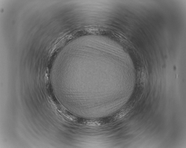X0000053140702200508012244