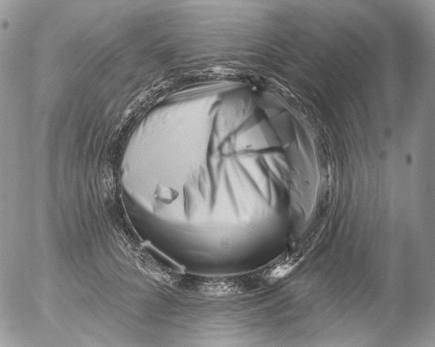 X0000053140704200508012244