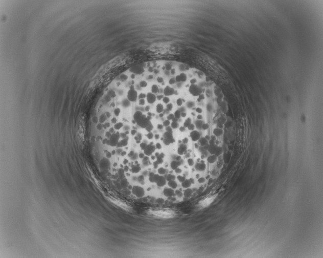 X0000053140710200508012244
