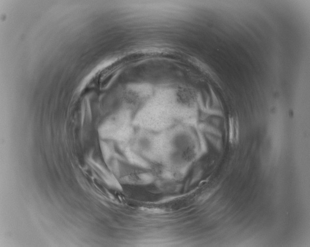 X0000053140723200508012243