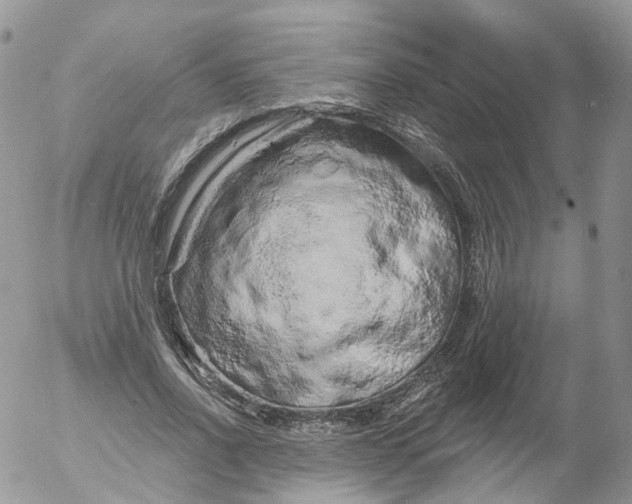 X0000053140734200508012243