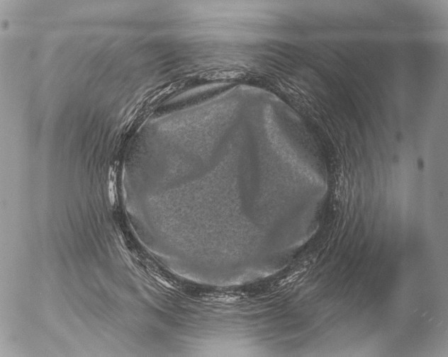 X0000053140743200508012243