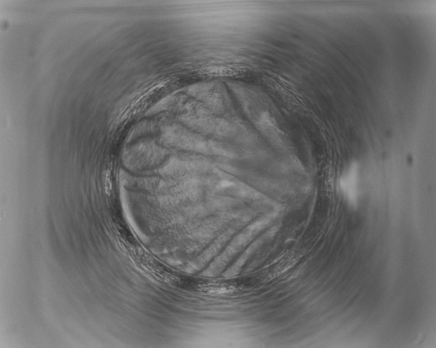 X0000053140746200508012243
