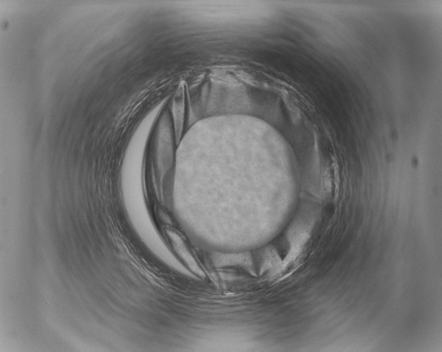 X0000053140750200508012243