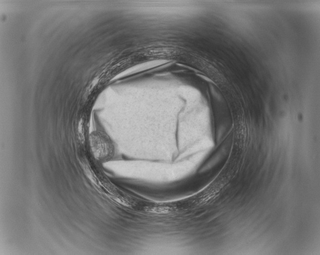 X0000053140751200508012243