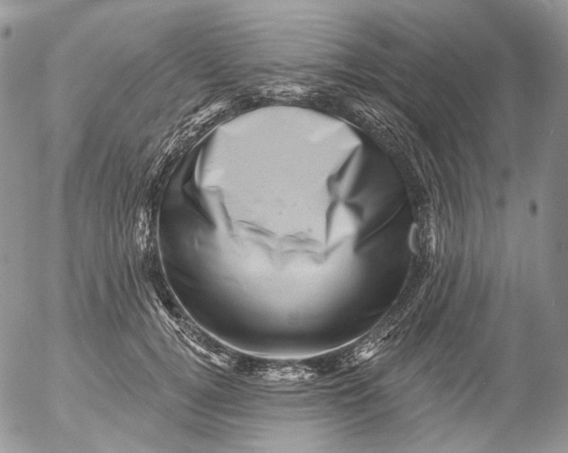 X0000053140752200508012243