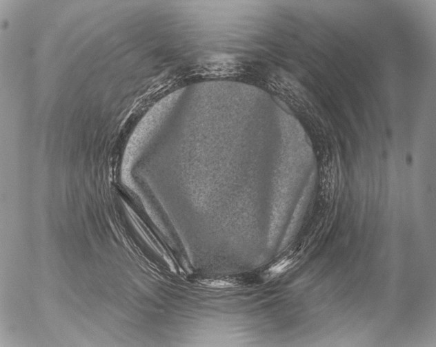 X0000053140755200508012243