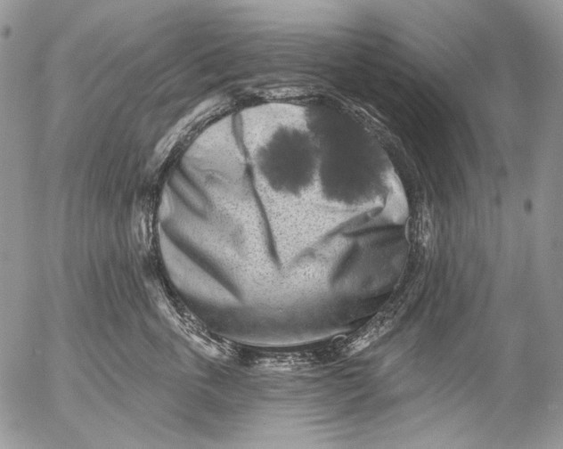 X0000053140763200508012243