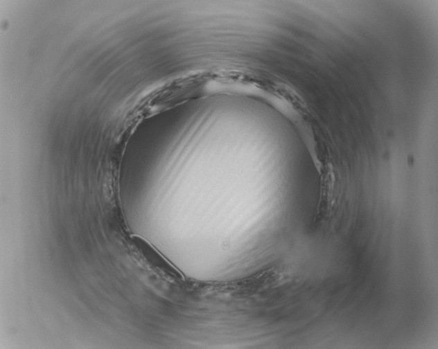 X0000053140773200508012243
