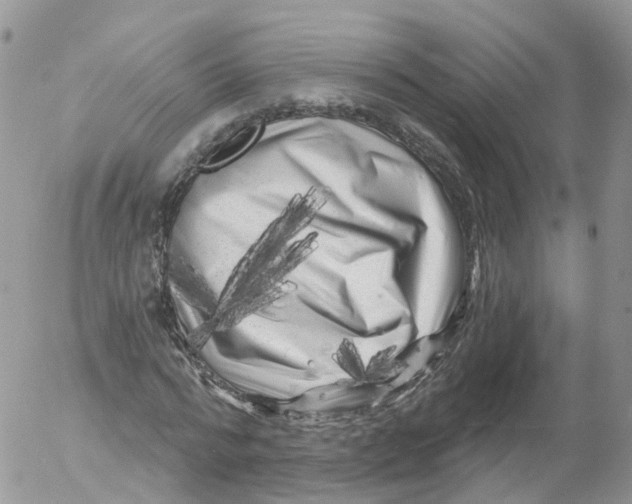 X0000053140776200508012242