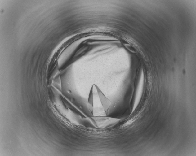 X0000053140784200508012242