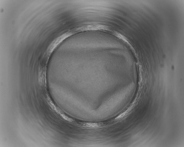 X0000053140794200508012242